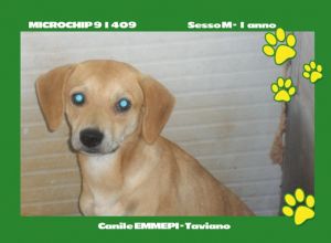 MICROCHIP 91409