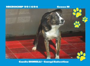 MICROCHIP 991694