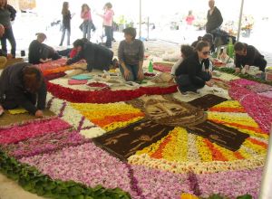 Momenti dell'infiorata 1