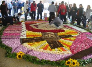 Momenti dell'infiorata 2