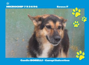 MICROCHIP 793696