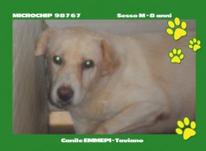 MICROCHIP 98767