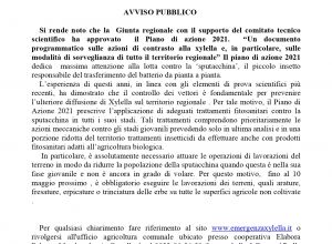 Lotta alla Xylella  fastidiosa. Piano d'azione 2021 