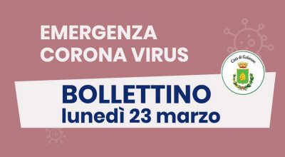 PUBBLICAZIONE BOLLETTINO EMERGENZA CORONAVIRUS DEL 23/03/2020