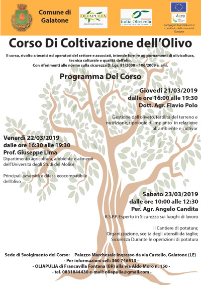 Corso di coltivazione dell'olivo