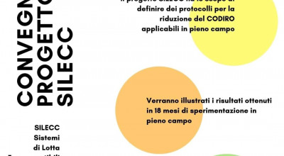 PROGETTO SILECC 