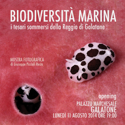 Biodiversità marina