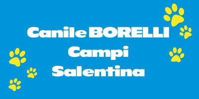 Scheda Borelli