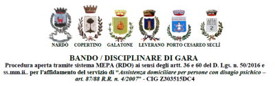 “Assistenza domiciliare per persone con disagio psichico