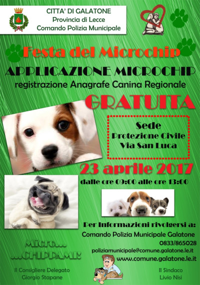 FESTA DEL MICROCHIP