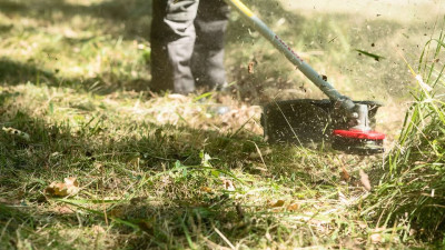 MANUTENZIONE VEGETAZIONE, SIEPI, STERPAGLIE E RAMI DEI TERRENI PRIVATI