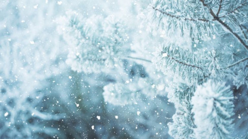Nevicata Nevicata