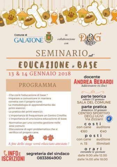 Seminario sull'educazione di base